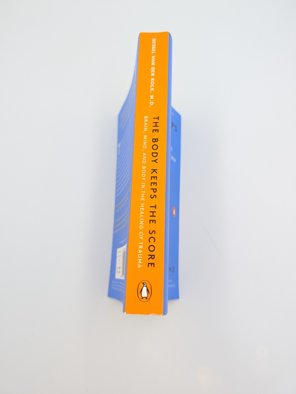 The Body Keeps the Score Paperback - Picture 8 of 8